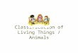 Classification of Living Things / Animals. Classification of Living Things Scientists estimate that there are between 3 million and 100 million species