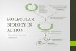 MOLECULAR BIOLOGY IN ACTION Biomedical Innovation Problem 6