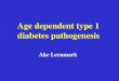 Age dependent type 1 diabetes pathogenesis