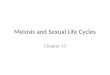 Meiosis and Sexual Life Cycles Chapter 13. Genetics Genetics is the scientific study of heredity and hereditary variation. Heredity is the transmission