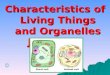 Characteristics of Living Things and Organelles Jeopardy!