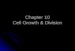 Chapter 10 Cell Growth & Division. Cell Division There are 2 main reasons cell divides: There are 2 main reasons cell divides: 1. The cell has more trouble