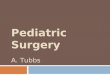 Pediatric Surgery A. Tubbs. 1 XR 1513136  19mo M brought to the ED 12/22 by EMS after cardiopulmonary arrest  EMS called by father for “difficulty breathing”