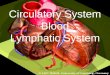 Circulatory System Blood Lymphatic System. The Heart & Blood flow