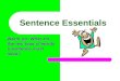 Sentence Essentials Warm-up: What are the two type of words a sentence must have?
