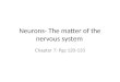 Neurons- The matter of the nervous system