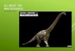ALL ABOUT THE BRACHIOSAURUS By Katelyn Bowe. “ ” BRACHIOSAURUS THE BRACHIOSAURUS LIVED IN THE JURASSIC PERIOD THEY LIVED OVER 150 MILLION YEARS AGO