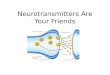 Neurotransmitters Are Your Friends
