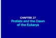 Chapter 27: Protists and the Dawn of the Eukarya CHAPTER 27 Protists and the Dawn of the Eukarya