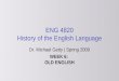 ENG 4820 History of the English Language Dr. Michael Getty | Spring 2009 WEEK 6: OLD ENGLISH