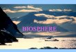BIOSPHERE. The earth without life is an dynamic place, active geologically and climatically, and we assume all this complexity must be consistent with