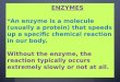 ENZYMES *An enzyme is a molecule (usually a protein) that speeds up a specific chemical reaction in our body. Without the enzyme, the reaction typically