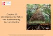 Chapter 16 (Environmental Policy and Sustainability ) Lecture Outline © 2014 by McGraw-Hill Education. This is proprietary material solely for authorized