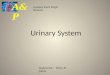 Urinary System Galena Park High School A&P Instructor: Terry E. Jones