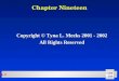 CHE 116 No. 1 Chapter Nineteen Copyright © Tyna L. Meeks 2001 - 2002 All Rights Reserved