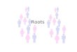 Roots. Demography Demography is the study of population characteristics Changing population trends in the UK is an important topic for Geographers to