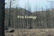 Fire Ecology. Disturbance Defn: Force that shapes natural communities by altering resource allocation and changing structure of environment