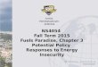 NS4054 Fall Term 2015 Fuels Paradise, Chapter 3 Potential Policy Responses to Energy Insecurity