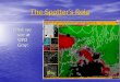 The Spotter’s Role What we see at WFO Gray:. The Spotter’s Role To be the eyes of the NWS where severe weather is occurring or has occurred: Reporting