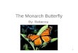 The Monarch Butterfly By: Rebecca