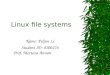 Linux file systems Name: Peijun Li Student ID: 0100276 Prof. Morteza Anvari