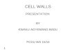 CELL WALLS PRESENTATION BY KWAKU AGYEMANG BADU PCDU WS 15/16 1