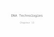 DNA Technologies Chapter 13. What is biotechnology? Biotechnology- is the use of organisms to perform practical tasks for humans – Analysis – Manipulation