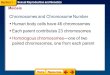 Human body cells have 46 chromosomes Meiosis Sexual Reproduction and Genetics  Each parent contributes 23 chromosomes Section 1  Homologous chromosomes—one