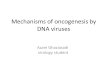 Mechanisms of oncogenesis by DNA viruses Azam Ghaziasadi virology student