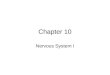 Chapter 10 Nervous System I. Divisions of the Nervous System The organs of the nervous system are divided into two major groups: –Central Nervous System