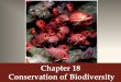 Chapter 18 Conservation of Biodiversity 1. Case Study Modern Conservation Legacies 2