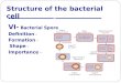 Structure of the bacterial cell VI- Bacterial Spore - Definition - Formation - Shape - Importance