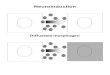 Neuroinduction Diffusible morphogen. Neural plate (Apposition of Different Germbands) Ant Post Endoderm and Mesoderm Involute with Gastrulation: Induction