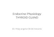 Endocrine Physiology THYROID GLAND