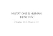 MUTATIONS & HUMAN GENETICS Chapter 11.3, Chapter 12