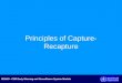 SEARO –CSR Early Warning and Surveillance System Module Principles of Capture- Recapture