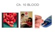 Ch. 10 BLOOD. PHLEBOTOMIST person trained to draw blood from a patient for clinical or medical testing, transfusions, donations, or research