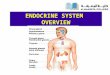 ENDOCRINE SYSTEM OVERVIEW. Objectives Understanding the common aspects of neural and endocrinal regulations. Describing the chemical nature of hormones