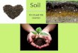 Soil Ch 13 and CIE sources