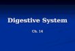 Digestive System Ch. 14. Digestive System The digestive system has a simple job, gather nutrients. The digestive system has a simple job, gather nutrients