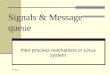 Signals & Message queue Inter process mechanism in Linux system 3/24/2011 1