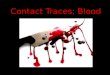 Contact Traces: Blood. Serology: The study of blood and other liquids in forensics. Taking a sample of blood off the car windscreen