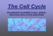 The Cell Cycle the amazing! incredible! I-can’t –wait-to- hear-more story of how cells divide