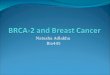 Natasha Adlakha Bio445. Discovery in Breast Cancer Reverse Genetics BReast CAncer Gene 2 -1995 Chromosome 13 Tumor suppressor gene Penetrance Familial,