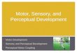 Motor, Sensory, and Perceptual Development  Motor Development  Sensory and Perceptual Development  Perceptual-Motor Coupling