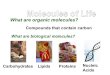 What are organic molecules? What are biological molecules? Compounds that contain carbon CarbohydratesLipidsProteins Nucleic Acids