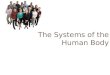 The Systems of the Human Body. What are the Human Body Systems We Have Studied So Far?  Skeletal  Muscular  Digestive  Respiratory  Now…  Circulatory