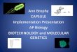 Ann Brophy CAPSULE Implementation Presentation AP Biology BIOTECHNOLOGY and MOLECULAR GENETICS