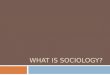 WHAT IS SOCIOLOGY?. What is Sociology?  Looks at the development and structure of human society (institutions) and how it works.  Sociology is the study
