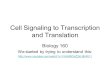 Cell Signaling to Transcription and Translation